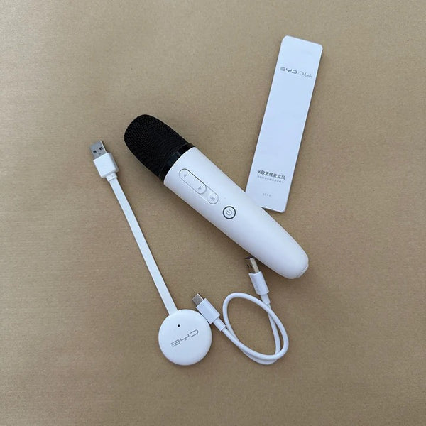 Wireless Microphone for BYD